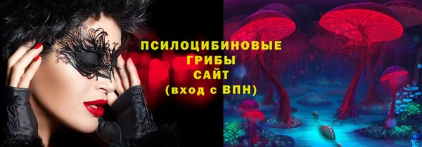 бошки Елабуга