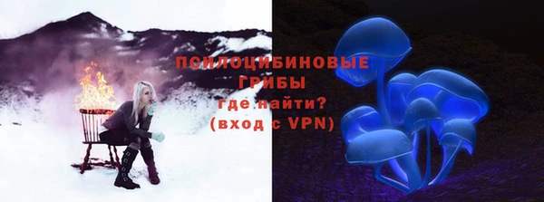 бошки Елабуга