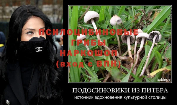 бошки Елабуга