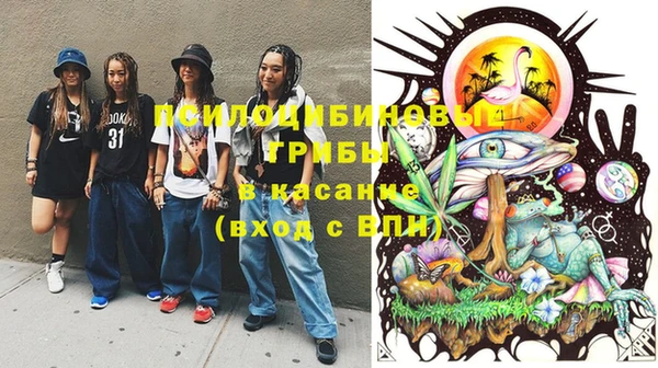 бошки Елабуга