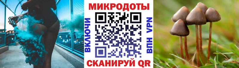 Галлюциногенные грибы Cubensis гидра рабочий сайт Дербент